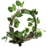 Reptile Climbing Branch Flexible Jungle 3.28ft Rattan 1Pc Vine(3.28ft Rattan+Scindapsus