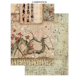 Stamperia - Junk Journal Stickers, Cut-Outs, and Backgrounds for Scrapbooks, Albums, Card Making, Journaling and More, Perfect for Hobbies, Crafts, and Gifting (Oriental Garden) (Focus Points) (A5)