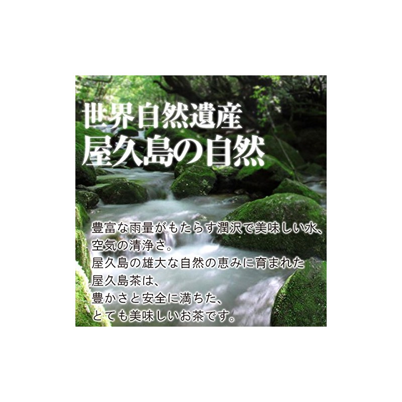 Organic Yakushima Roasted Tea (Tea Bags) [Mf1/3]