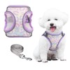 PawSailor No Pull Dog Harness & Lead Set, Step in