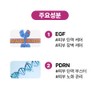 BiomeActivate [Ba liquid] EGPD cream [50ml] EGF 10ppm (maximum mixing