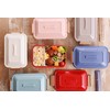 Sabu Staple 377044 Antibacterial Tie Lunch Box, 1 Tier, Blue,