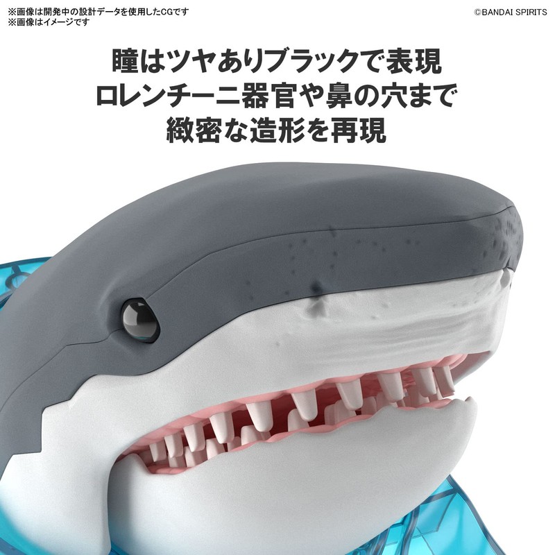 Exploring Lab Nature White Shark Color-Coded Plastic Model