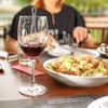 Wine Wand Filter Sulfite Purifier: Wine Filters Remover Histamines Sulfite
