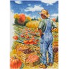 FABER-CASTELL Pitt Artist Pen, Autumn, B, 167179 Ink Pen, Pack