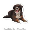 Extra Large 460mm 'Bernese Mountain Dog' Permanent Sticker Decal for