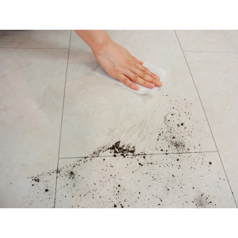 Clean While Bug, Air Freshener, Anti-Bacterial Effect fiton α Cleaner