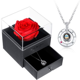 I Love You Necklace 100 Languages Projection Pendant Necklace with Red Rose Package Box Round Crystal Pendant Loving Memory Collarbone Necklace with Rose Jewelry for Valentine's Day (Silver)