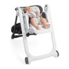 Chicco Chair Polly 2 in 1 Replacement Strap for &