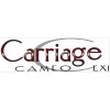 Unbranded Carriage Cameo LXI/SEL RV Graphic trailer Decal 29"x9" Made