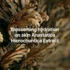 Nard Deep Mоisturizing Hyalurоniс Aсid Serum