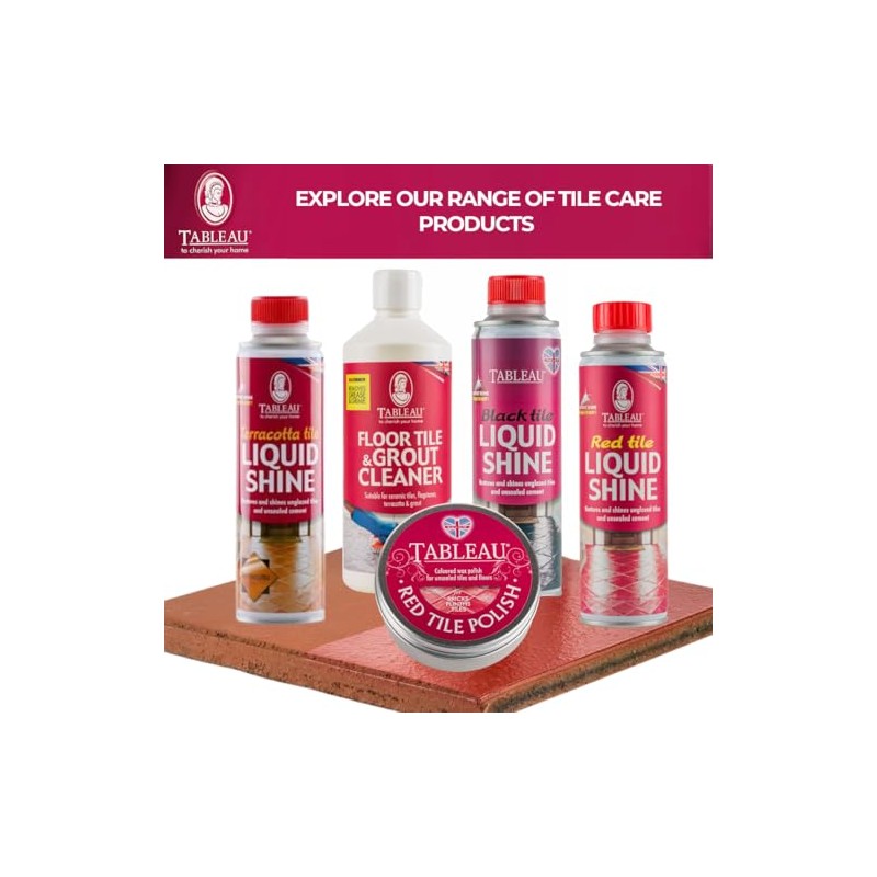 Tableau Red Tile Polish, Rejuvenate Red Tiles, Brickwork, Unsealed Concrete