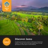 JamuSehati Immunity, Natural Superfoods Blend from Bali, Containing Javanese Turmeric,