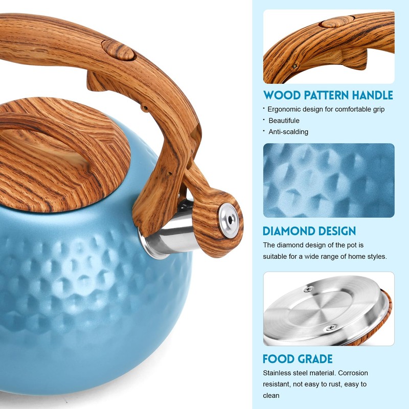 GGC Tea Kettle for Stove Top, Loud Whistling Kettle for