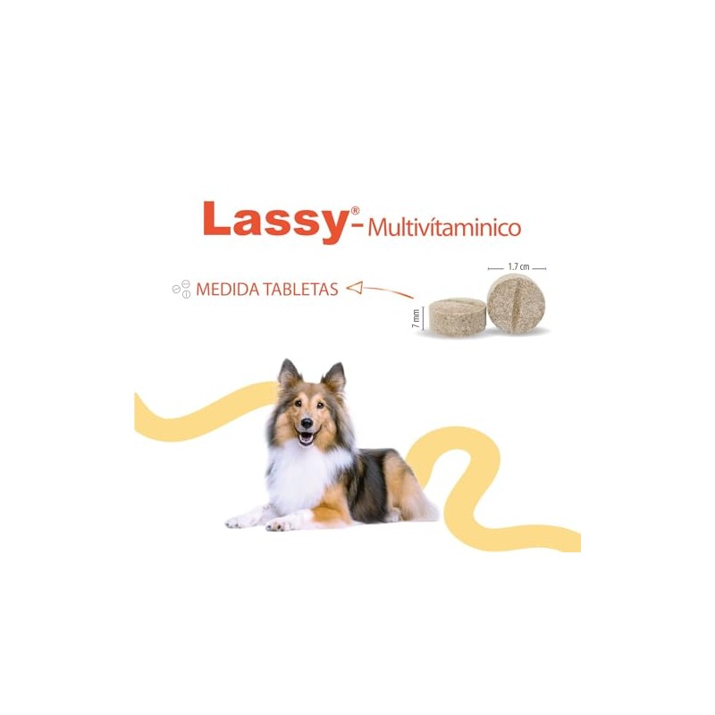 HOLLAND Lassy Multivitamínico 30 Tabs