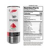 CELSIUS Sparkling Watermelon, Functional Essential Energy Drink, 12 Fl Oz
