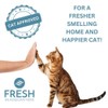 Fresh Headquarters 6-Pack Activated Carbon Filters for Litter Box -