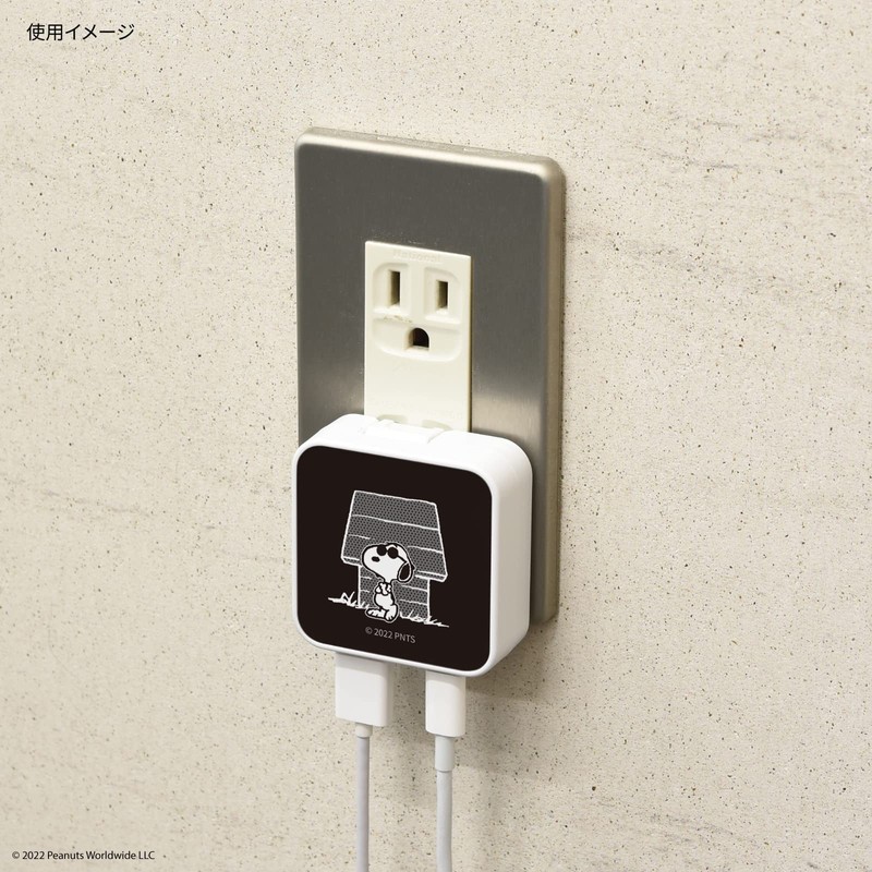 Gourmandise Peanuts USB/USB Type-C AC Adapter Joe Cool SNG-718B