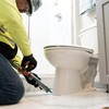 Sashco Clean Seal Active Enzyme Caulk, Kitchen & Bath, Almond,