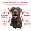 Watermelon Dog Shampoo by Buddycare | Deep Cleansing Shampoo for