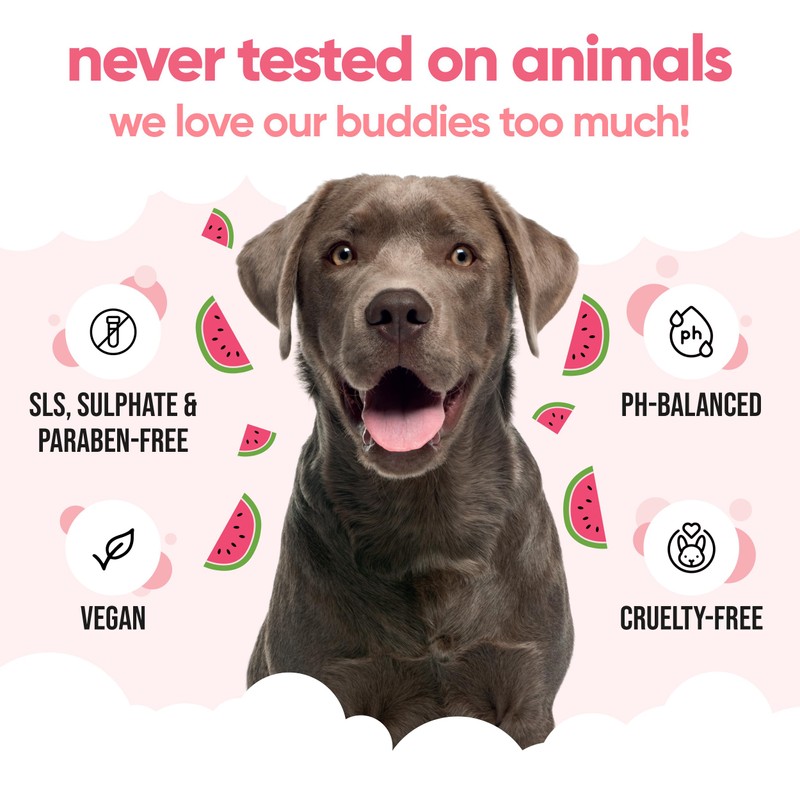 Watermelon Dog Shampoo by Buddycare | Deep Cleansing Shampoo for