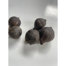 Manoa Valley Roots 100 Hawaiian Kou Cordia Subcordata Sea Trumpet Tree Seeds Organic Hawaii Grown