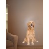 Golden Retriever Wall Decal Cutout