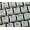 Pashto Keyboard Sticker with Blue Lettering ON Transparent Background for