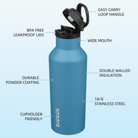 BJPKPK Insulated Water Bottle With Straw 17oz Stainless Steel Water Bottles With 2 Lids And Carry Handle Reusable Travel Metal Thermos,Sea Blue
