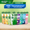 Dettol Bundle of 12 Dettol Shower Gel Body Wash Assorted