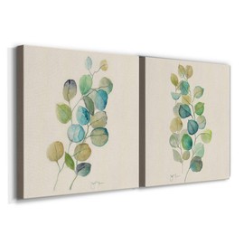 Renditions Gallery Eucalyptus I Wall Art, Premium Gallery Wrapped Canvas Decor, Ready to Hang, 24 in H x 24 in W, Made in America Print