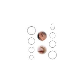 Habselikob Nose Piercing Ring 16G/18G Cartilage Earring Septum Clicker Ring Nose Ring Gold Silver Helix Conch Tragus Daith Lip Piercing Ear 6 mm/8 mm/10 mm/12 mm, Stainless Steel