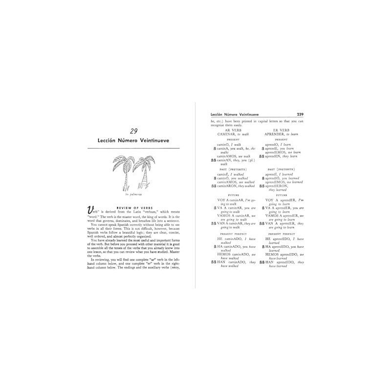 Three Rivers Press Madrigal's Magic Key to Spanish: A Creative