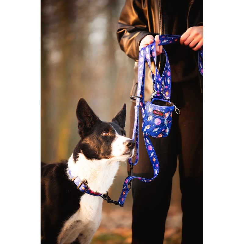 Helltails Leckerlitasche & Leckerlibeutel für Hunde | Hundetütenspender mit 2