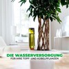 BioGreen Hydro Wine Irrigation System for Balcony and Pot Plants,