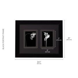 Mikasa 2 Opening Glossy Black Wood Gallery Frame, Displays two 5x7 Photos, 16x20.5 Inch