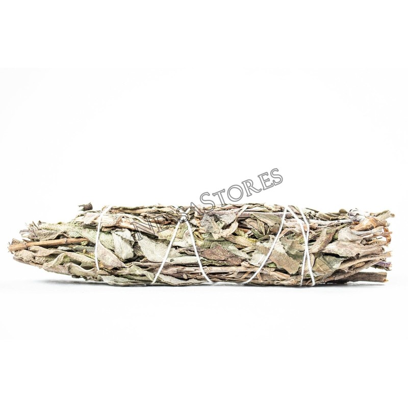 NessaStores- Black Sage Smudge Incense 4"-5" Bundle (1 pc) #JC-147