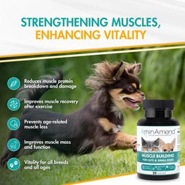 AminAmend Muscle Support Pet Supplement for Small Dogs & Cats with CaHMB & Vitamin D3 – All Ages & Senior Dog Supplements for Muscle Strength, Mobility & Daily Activity – (30 Capsules)