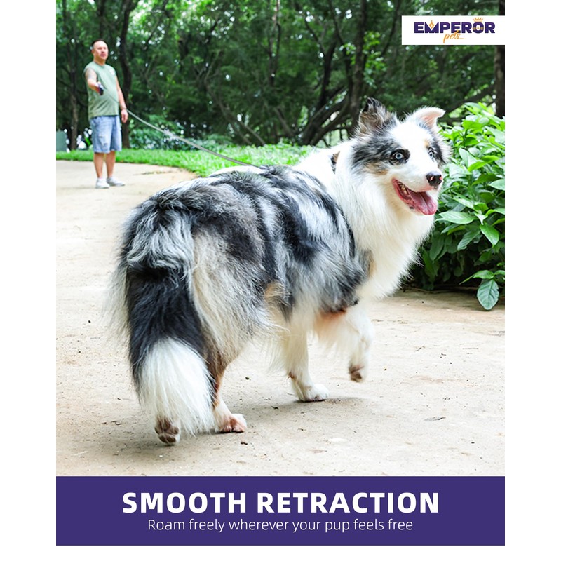 Retractable Dog Leash Add-On Accessory - Hand and Wrist Strap