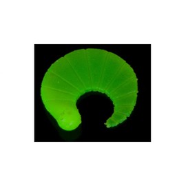 Singer Iron Trout Floating Coda Green 8040105 Trout Bait