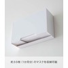 Yamazaki 5443 Two-Way Mask Storage Case, White, Approx. W 8.7