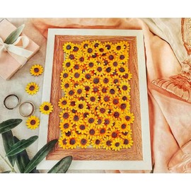 HukDok Sunflowers Heads Mulberry Paper Flower Yellow Sunflower with Brown Centre Miniature Flowers DIY Crafts Projects Scrapbooking Embellishments Wedding