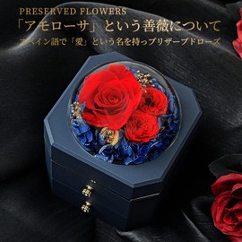 SENJWARM Large Capacity Blizzard Flower Jewelry Box, Anniversary, Preserved Flower, Rose, Popular, Birthday Gift, Friends, Wedding Gift, Mother's Day Gift, Popular Gift for Mother's Day, Girlfriend,