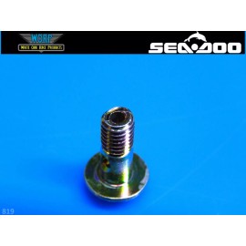 Sea-Doo 1 GENUINE OEM SEADOO 404146800 OIL LINE BANJO BOLT GS GTI GTS GTX XP 600 720 800