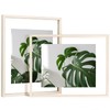 Egofine 11x14 Floating Frames Set of 2, Double Glass Picture