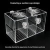 YHaurorise Acrylic Breeding Box Fish Trap Aquarium Container, Acclimation Isolation