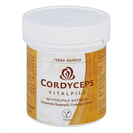 Cordyceps Vital Mushroom Terra Mundo Capsules