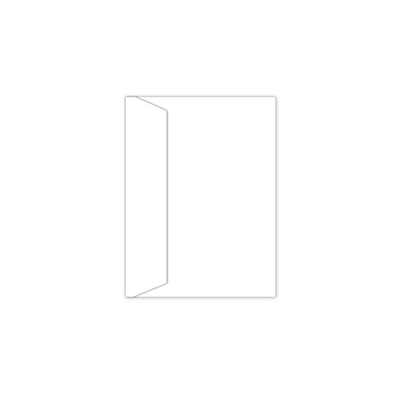 Southworth 25% Cotton Résumé Envelopes and Labels, 9” x 12”,