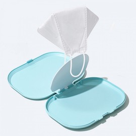 Baiko Antibacterial Hard Mask Case - Odor & Germ Protection, 4 Colors Mask Keeper - Mint 2ea