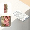 Sage Smudge Sticks (White Sage and Pink Sinuata)